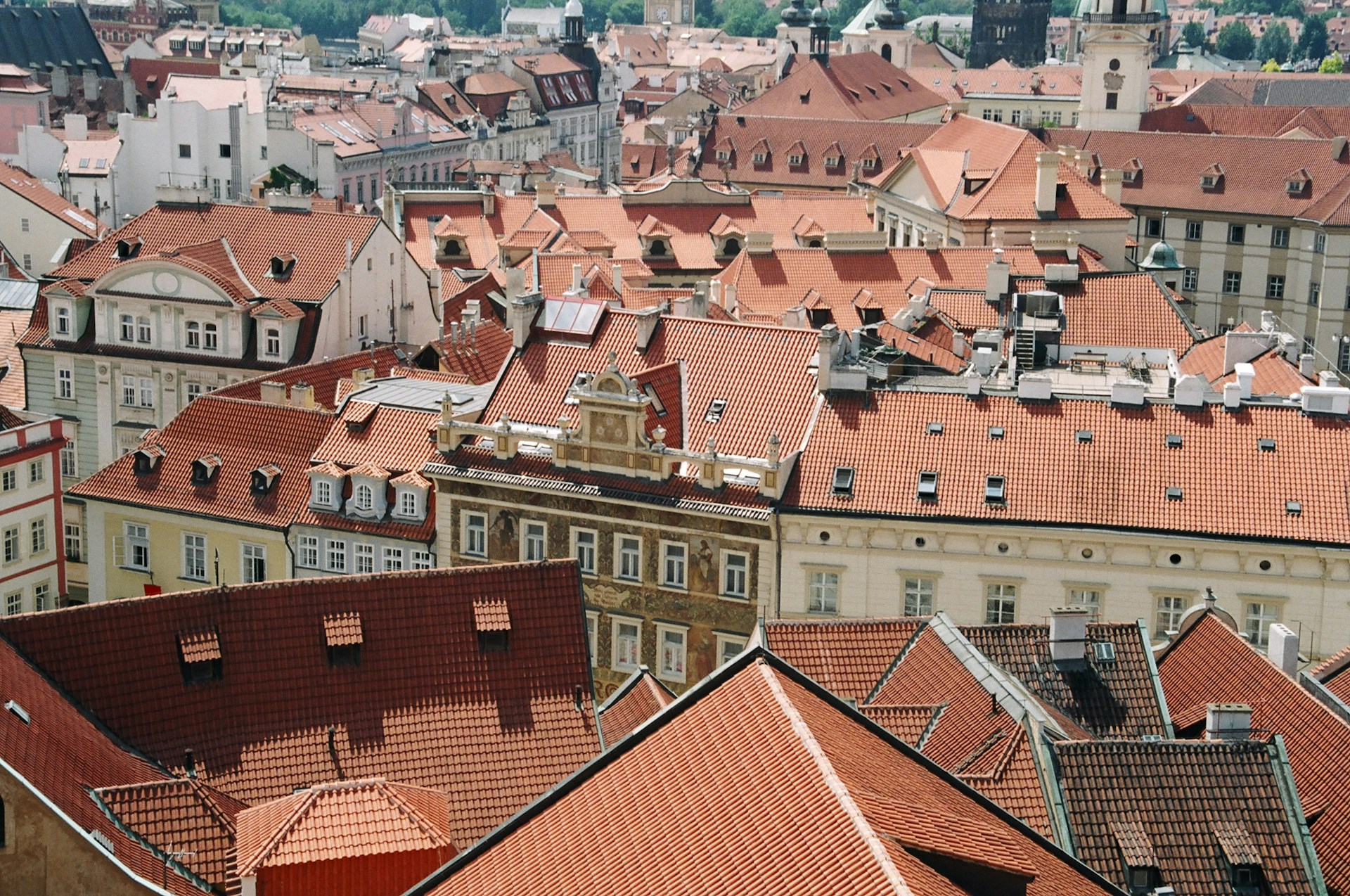 meg-pier–5bKUmWpuSY-unsplash