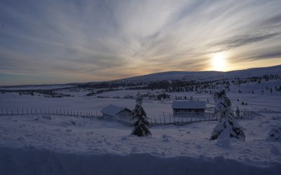 Vandring i Laponia: Vad du behöver veta innan du ger dig av